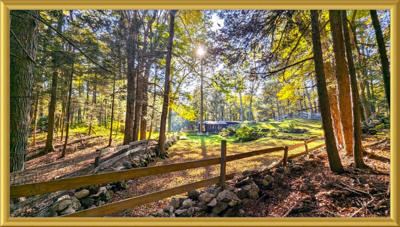 New England Homestead Framed Artwork