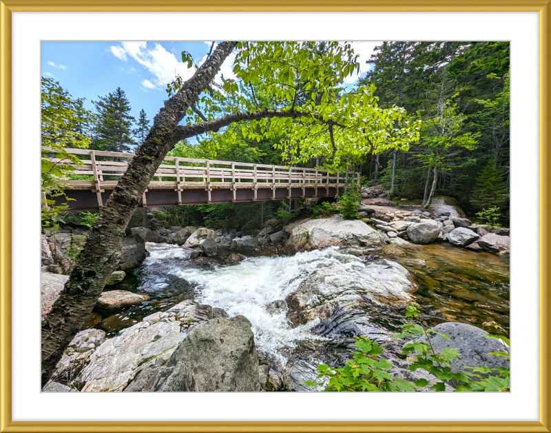 Cutler River Framed Artwork