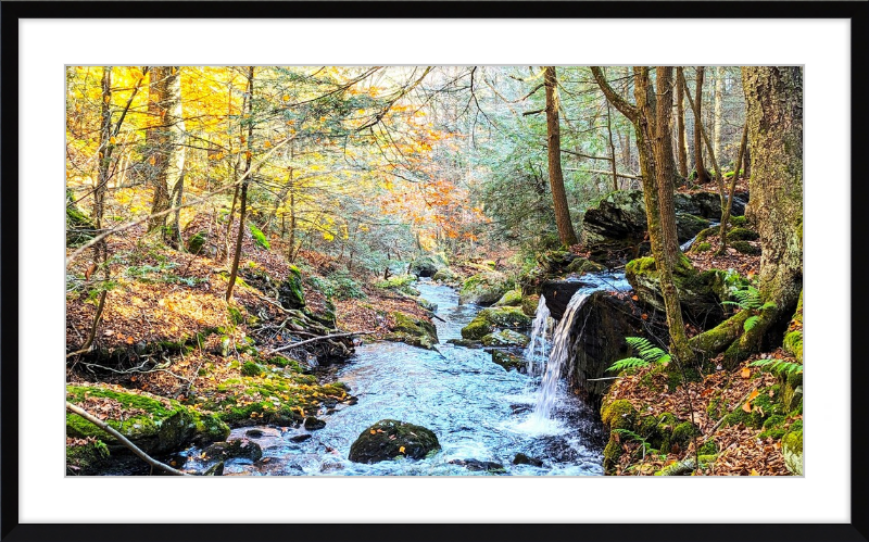 Sage's Ravine Framed Artwork