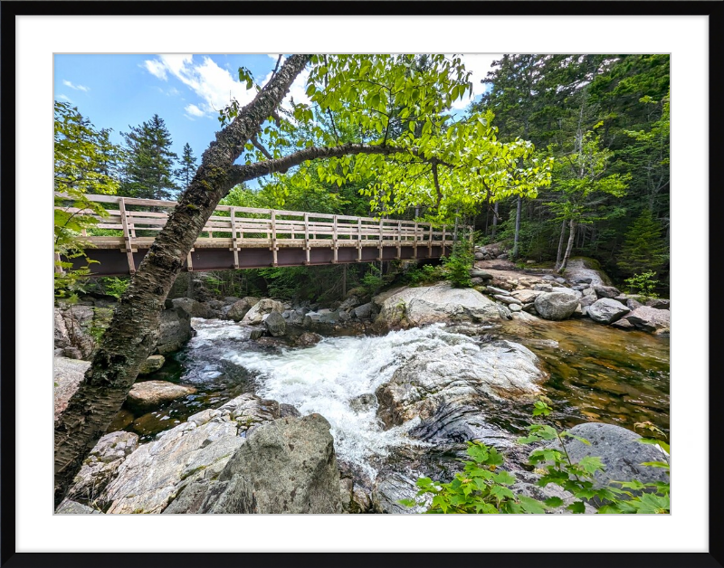 Cutler River Framed Artwork