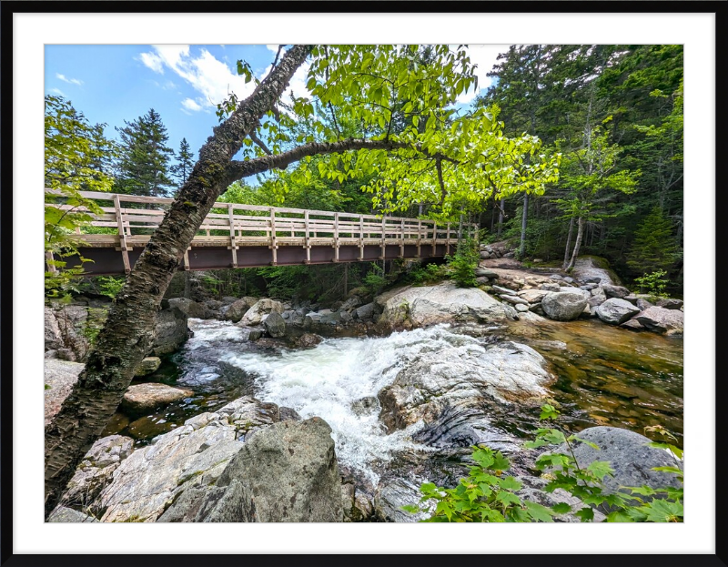 Cutler River Framed Artwork