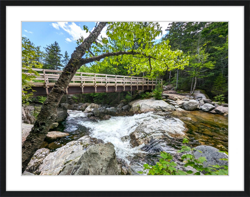 Cutler River Framed Artwork