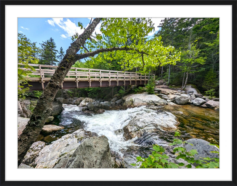 Cutler River Framed Artwork