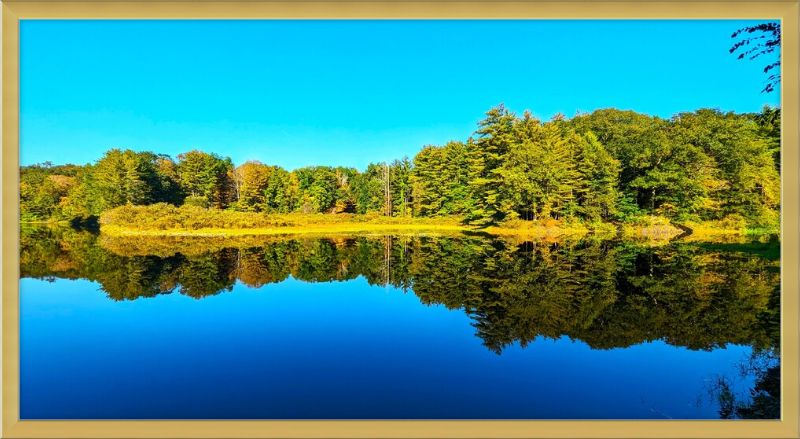 Saugatuck River Framed Artwork