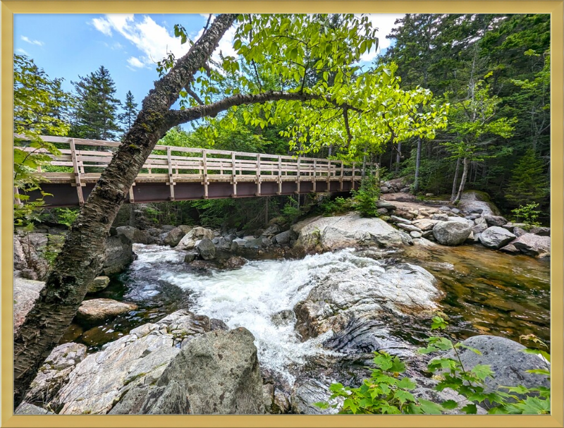 Cutler River Framed Artwork