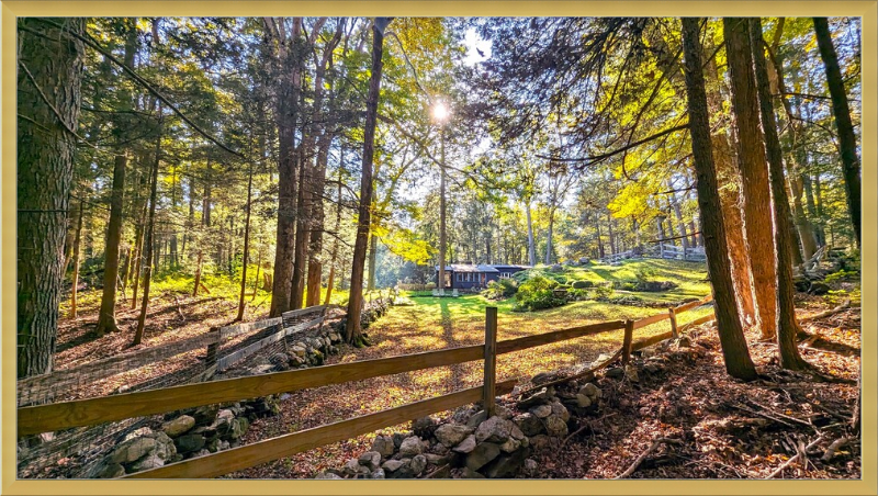 New England Homestead Framed Artwork