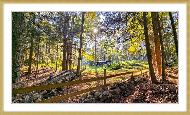 New England Homestead Framed Artwork