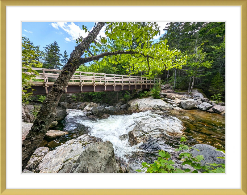 Cutler River Framed Artwork