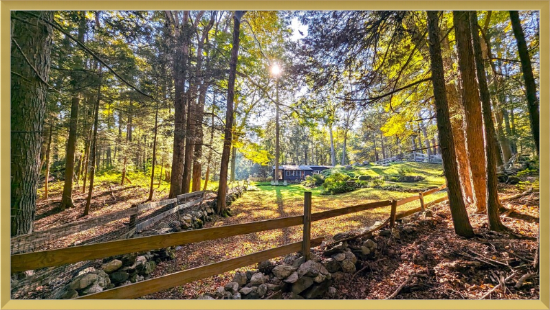 New England Homestead Framed Artwork