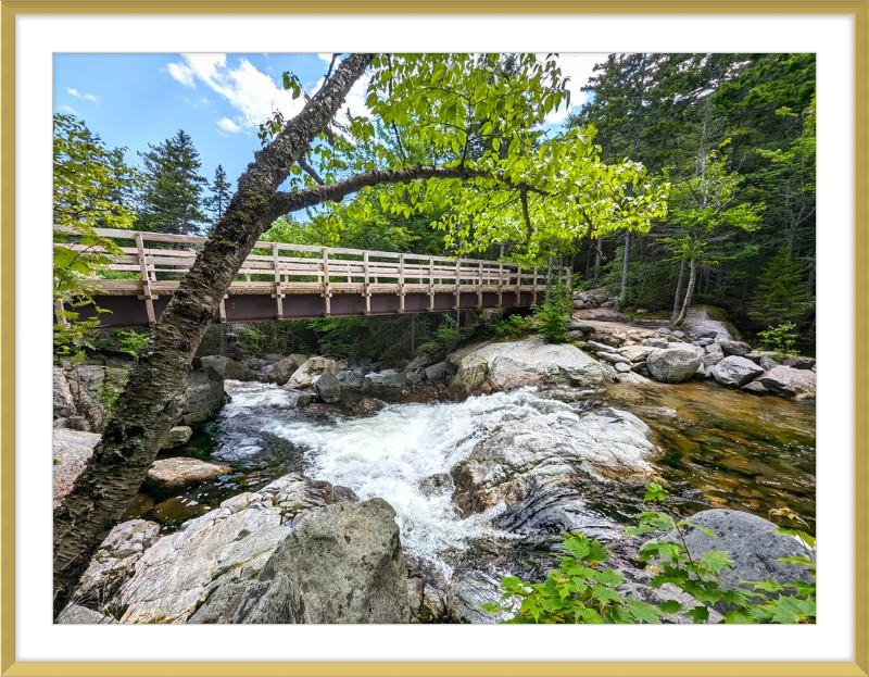 Cutler River Framed Artwork