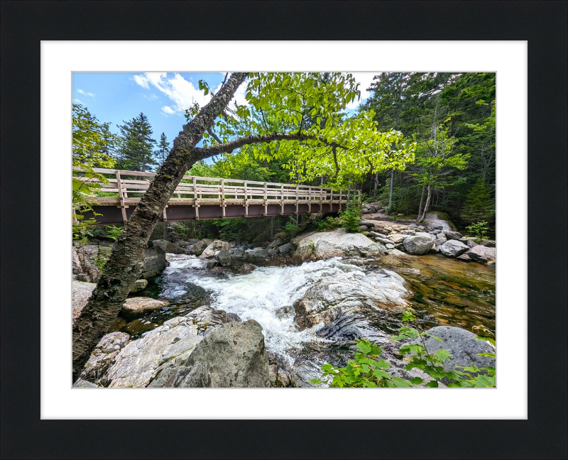 Cutler River Framed Artwork