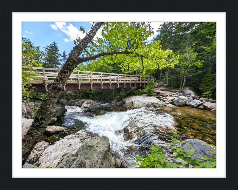 Cutler River Framed Artwork