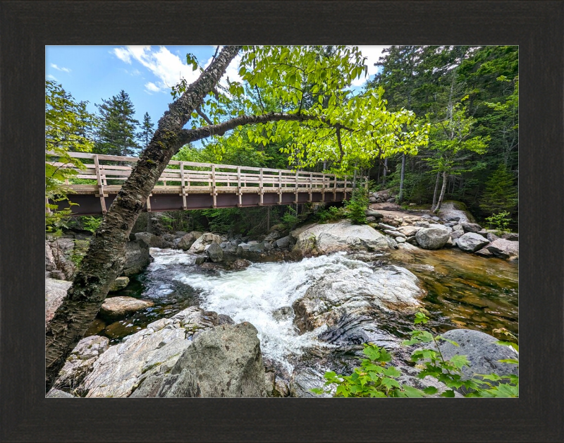 Cutler River Framed Artwork