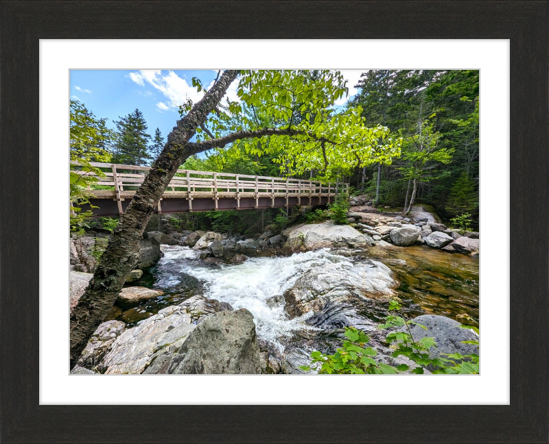 Cutler River Framed Artwork