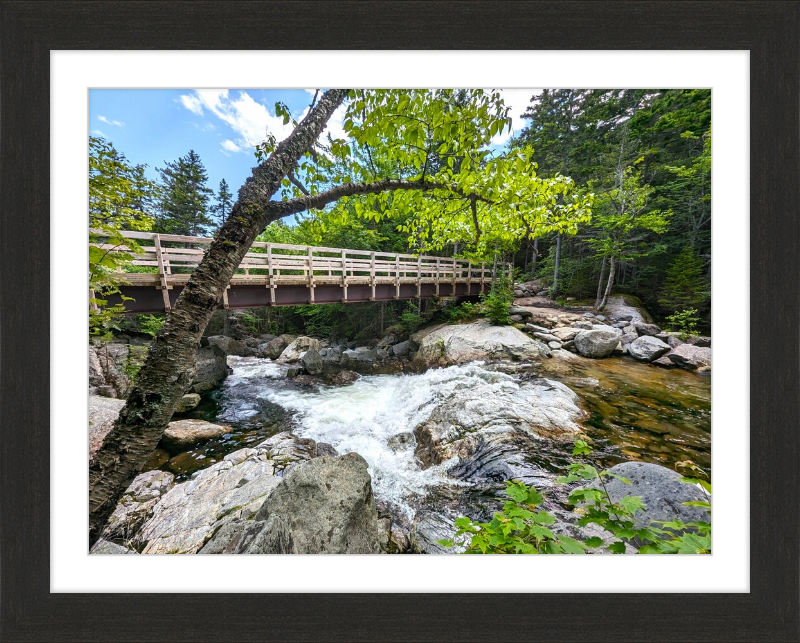 Cutler River Framed Artwork