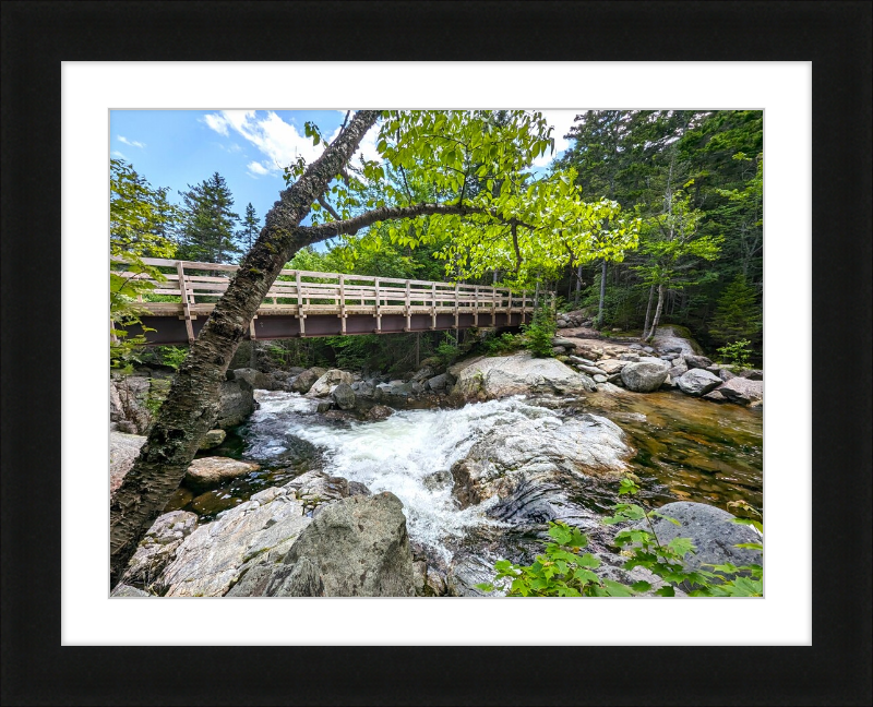 Cutler River Framed Artwork