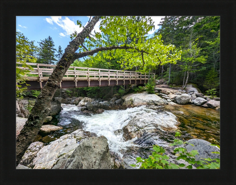 Cutler River Framed Artwork