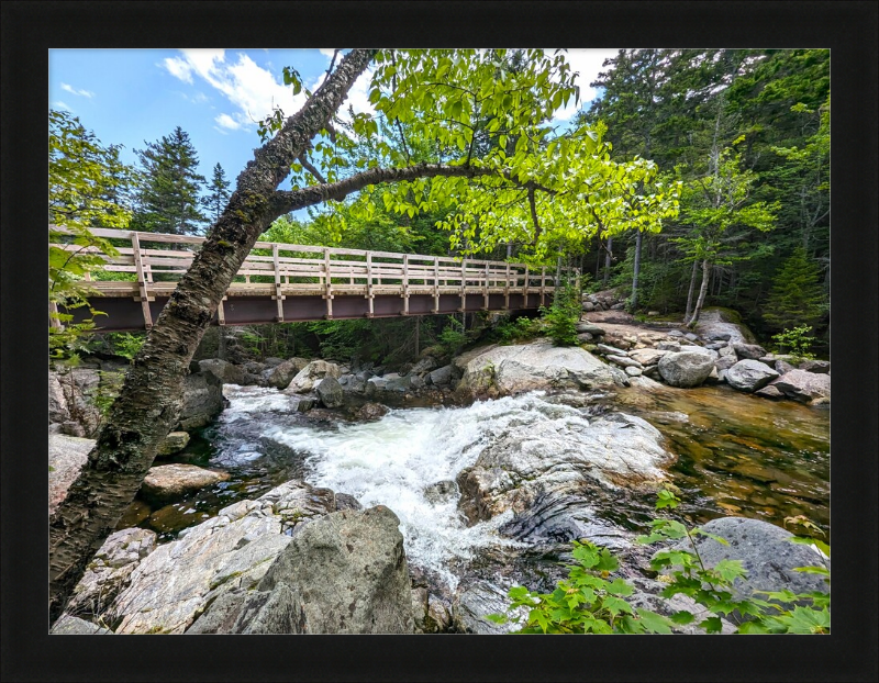 Cutler River Framed Artwork