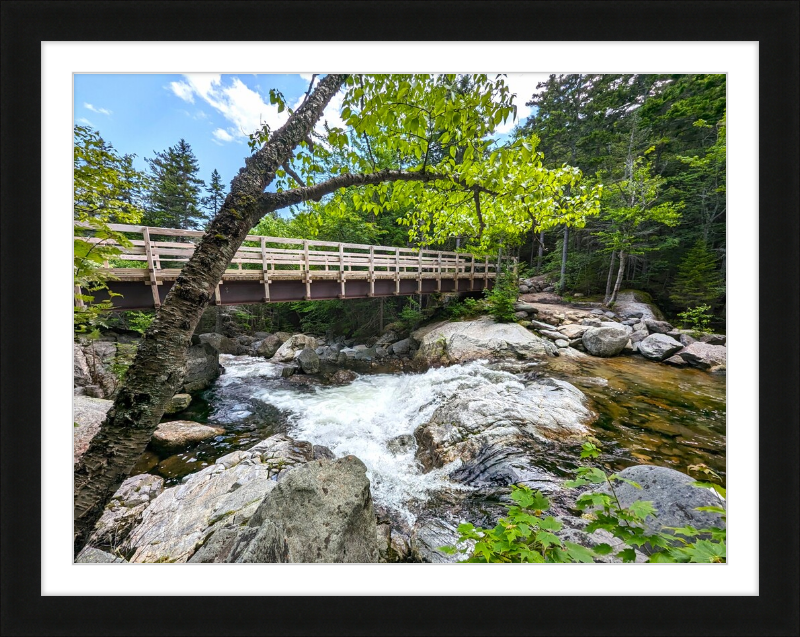 Cutler River Framed Artwork