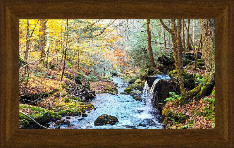 Sage's Ravine Framed Artwork