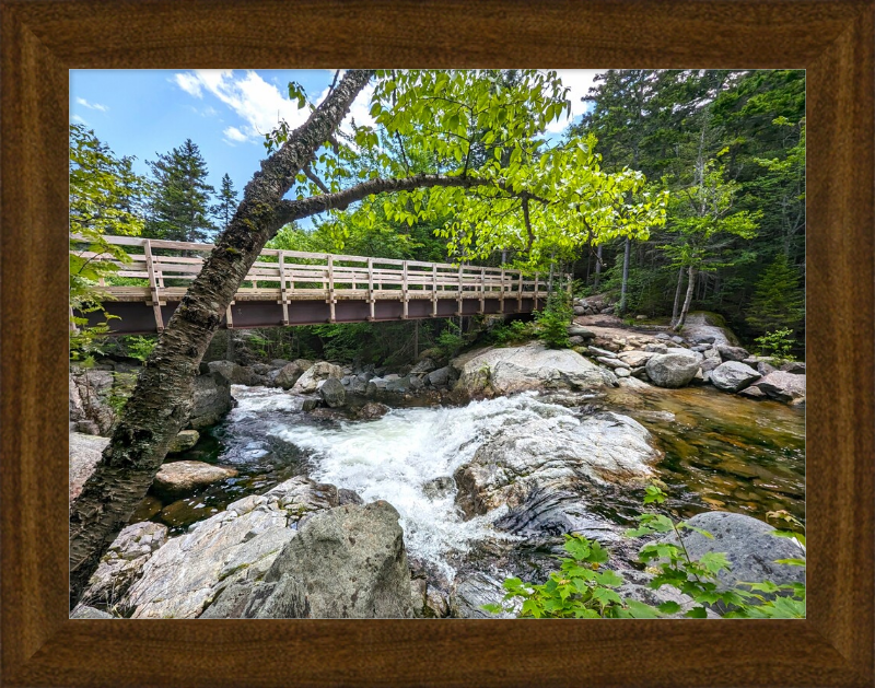 Cutler River Framed Artwork