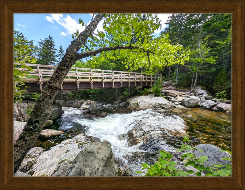 Cutler River Framed Artwork