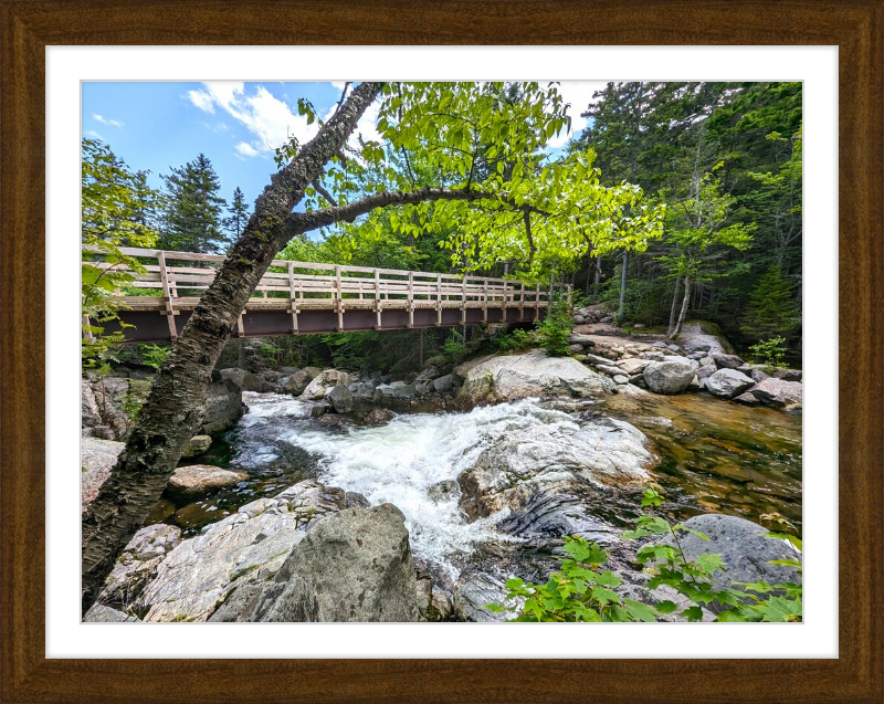 Cutler River Framed Artwork