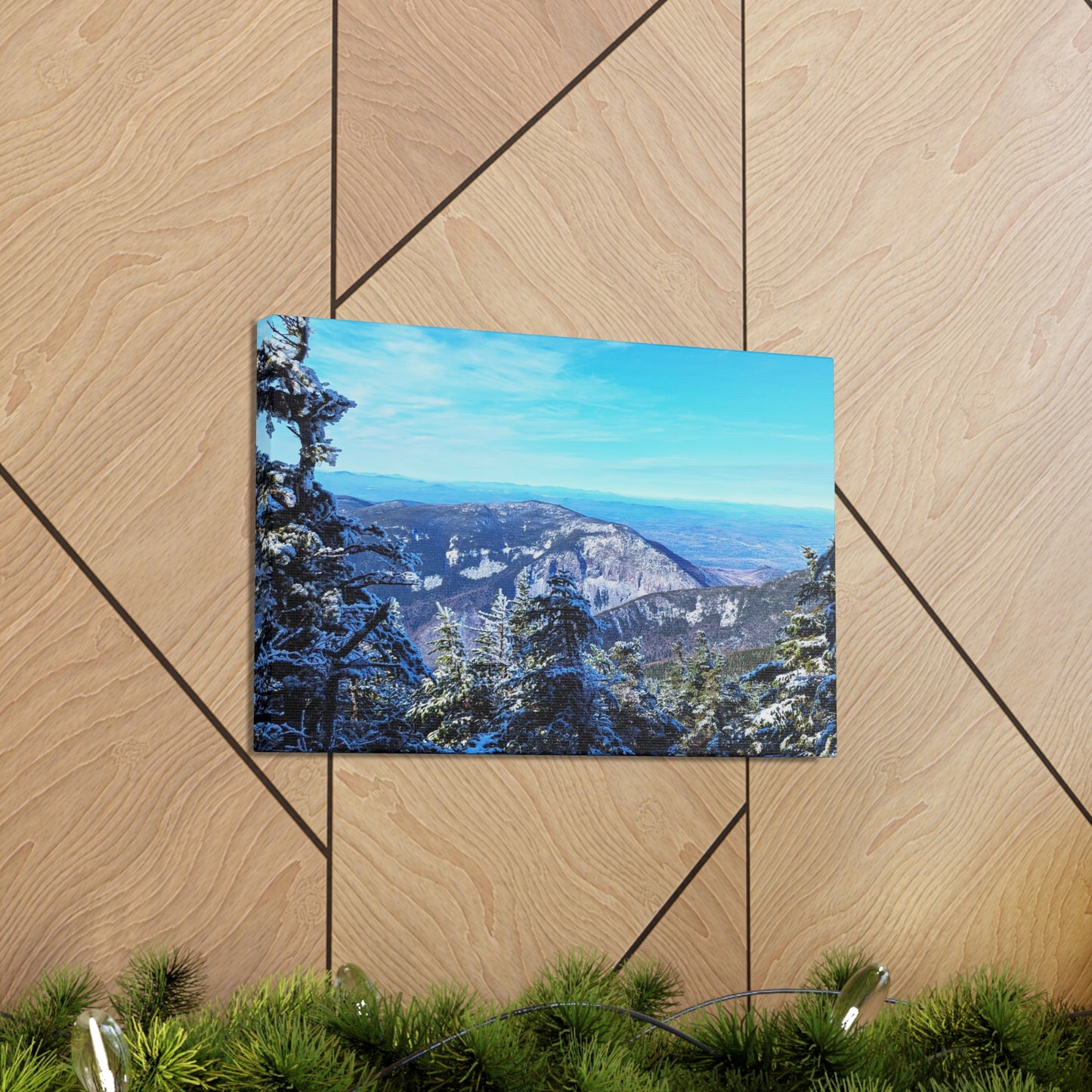 Alpine Zone- Canvas Art Print