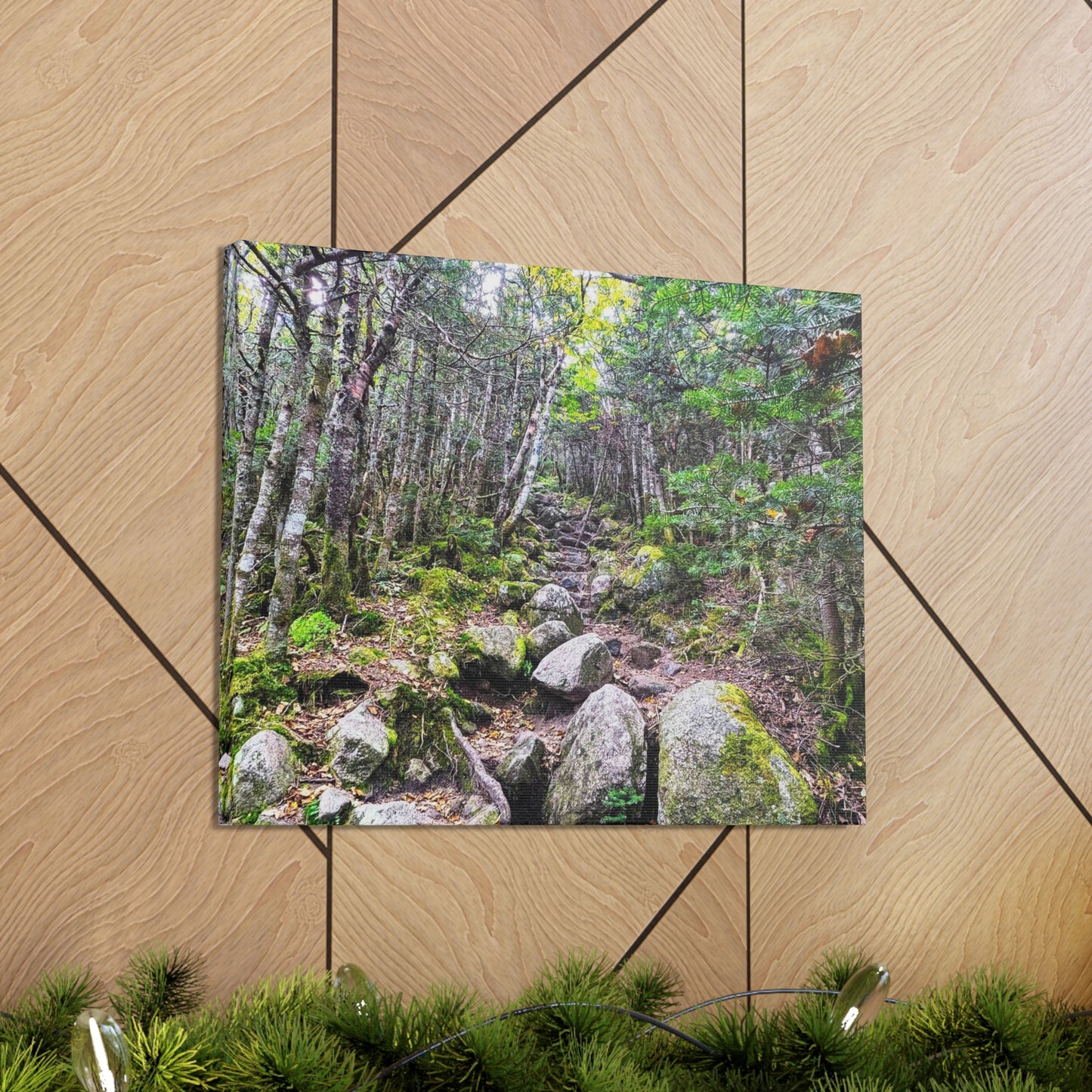 Kinsman Ridge Trail Canvas Art Print