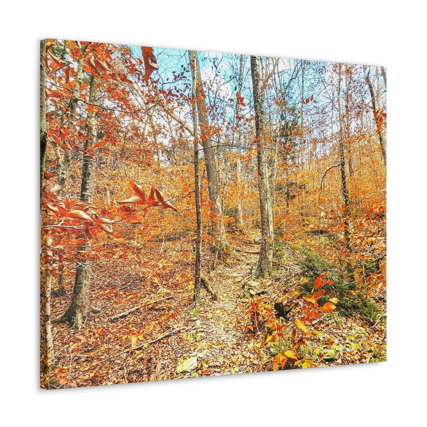 Appalachian Trail Fall Canvas Art Print