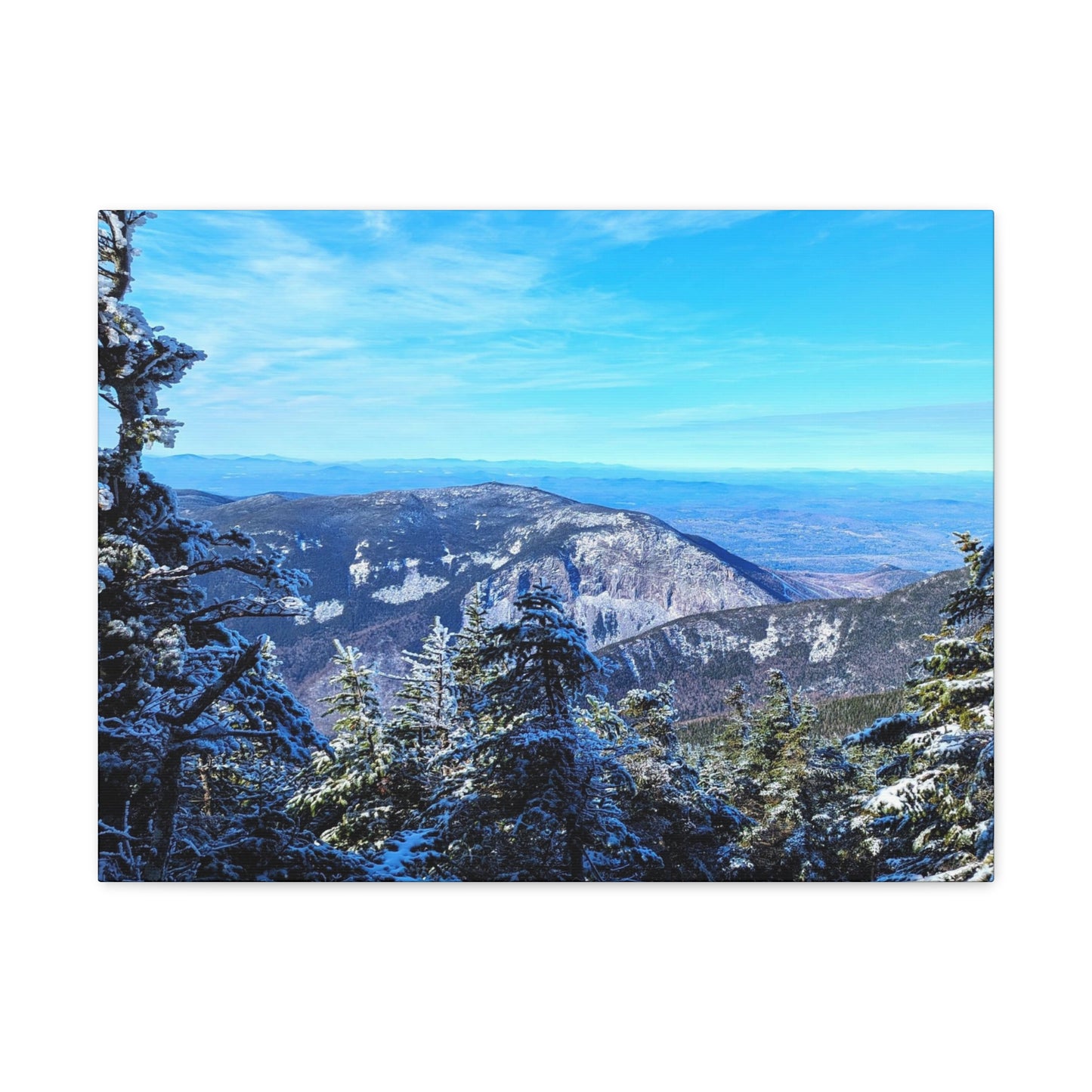 Alpine Zone- Canvas Art Print