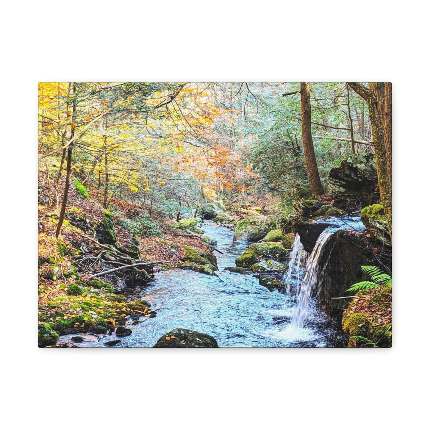 Sage's Ravine Canvas Art Print
