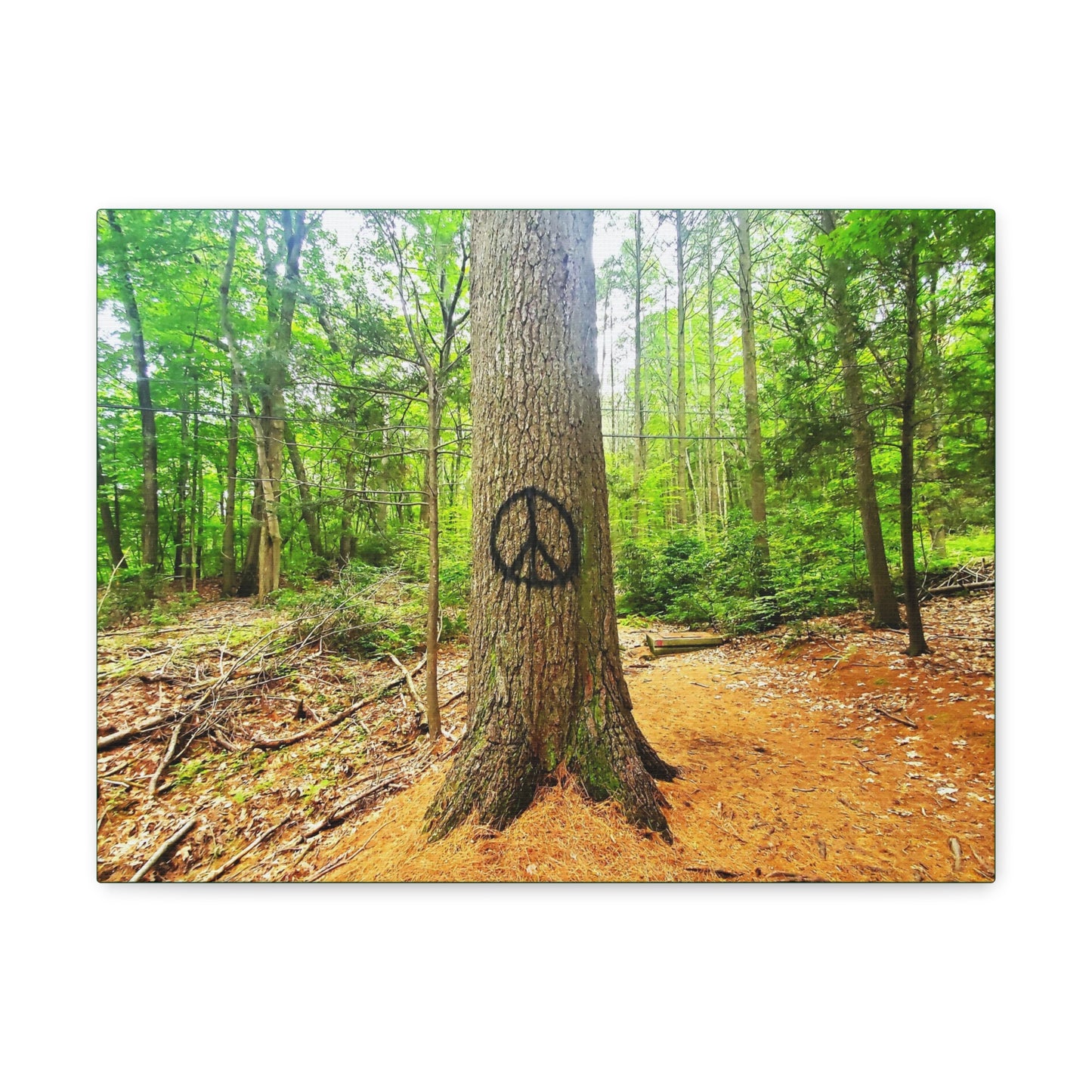 Peace Tree Canvas Art Print