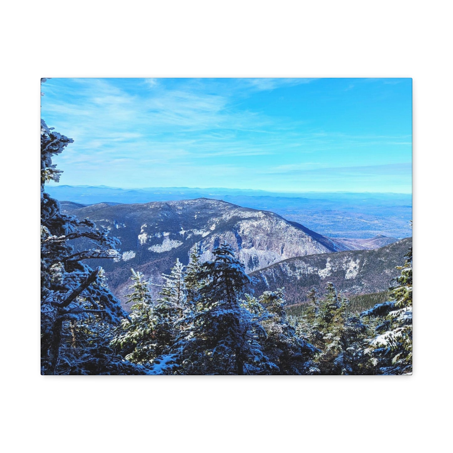 Alpine Zone- Canvas Art Print