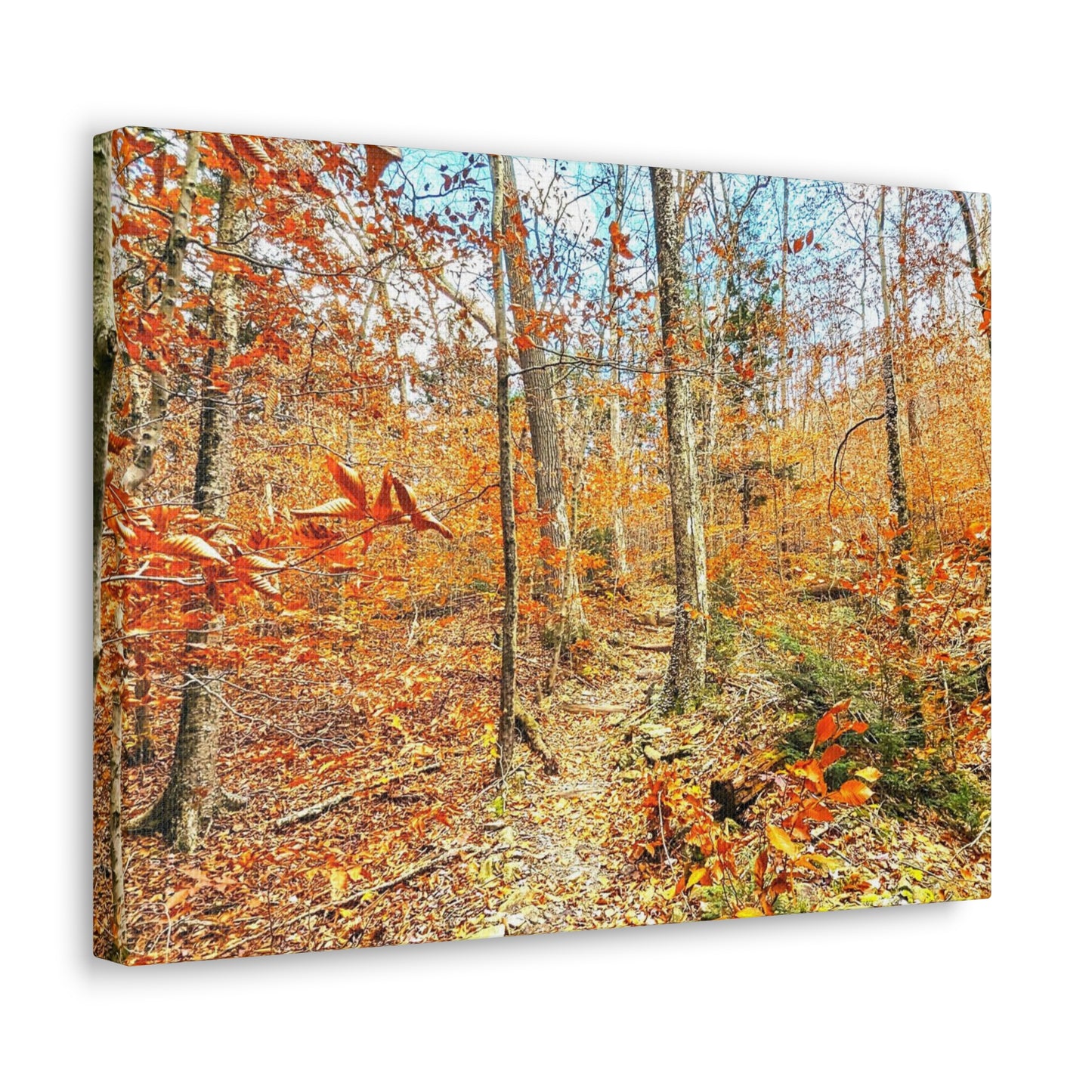 Canvas Artwork Print, Nature Photography