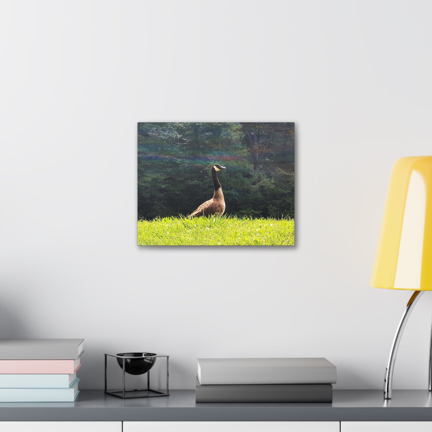 Canadian Goose Canvas Art Print