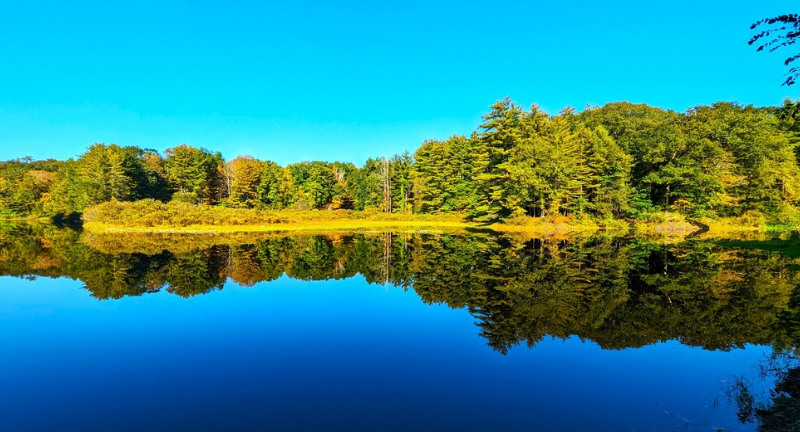 Saugatuck River Framed Artwork