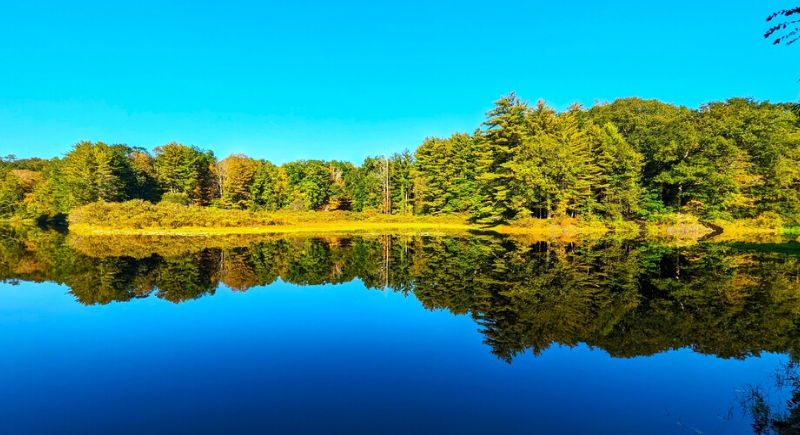 Saugatuck River Framed Artwork