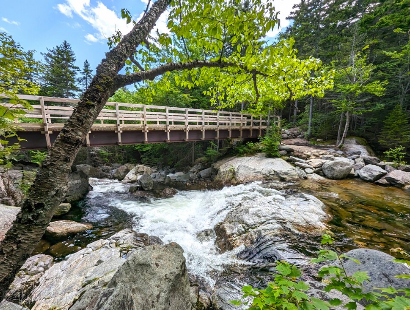 Cutler River Framed Artwork