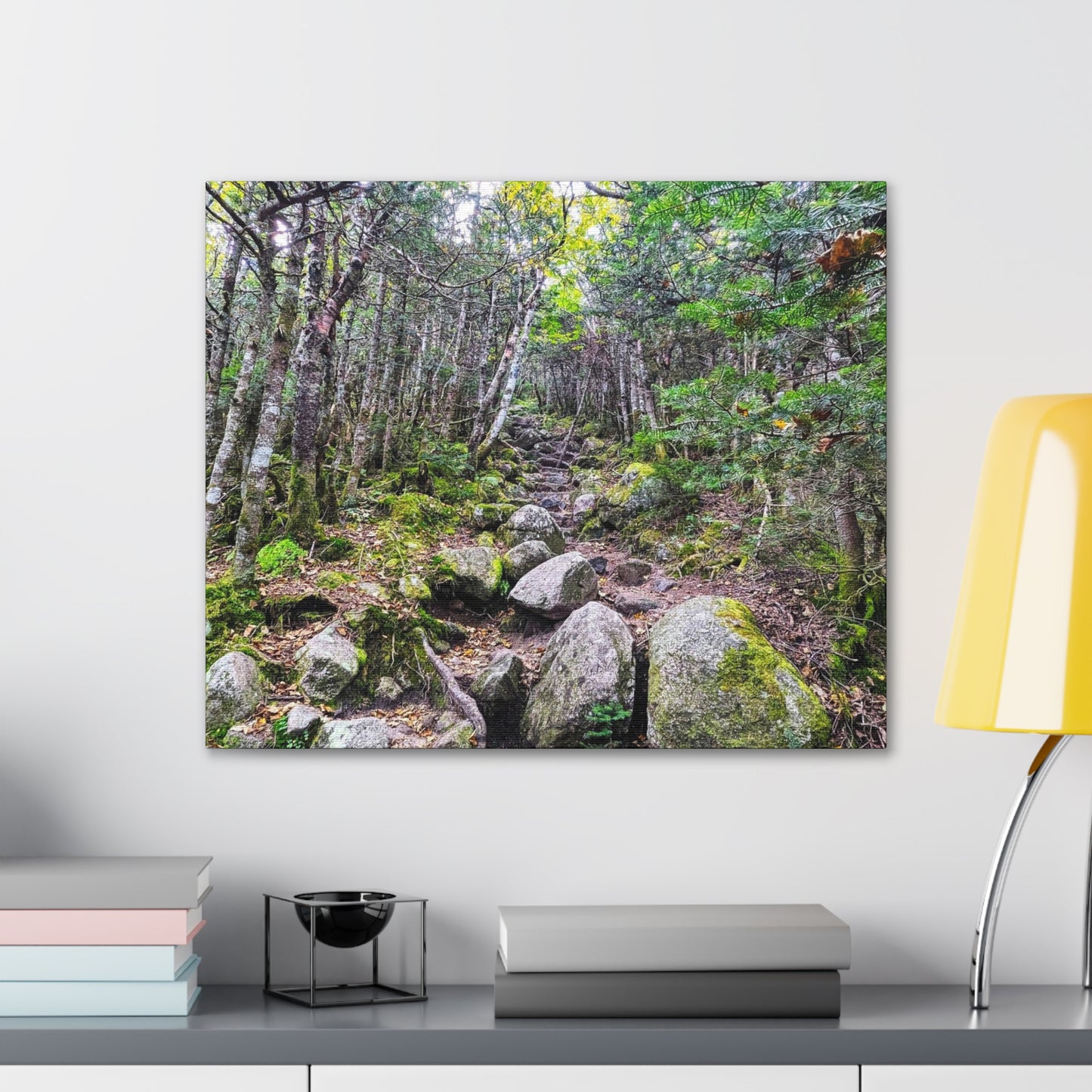 Kinsman Ridge Trail Canvas Art Print