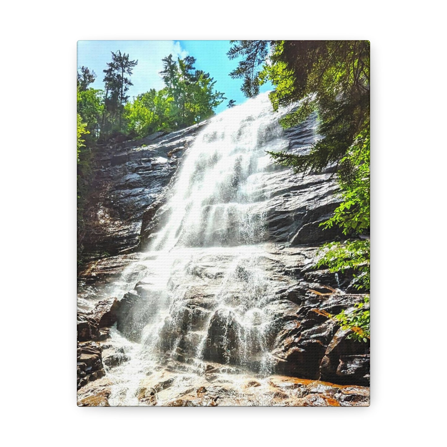 Arethusa Falls Canvas Art Print