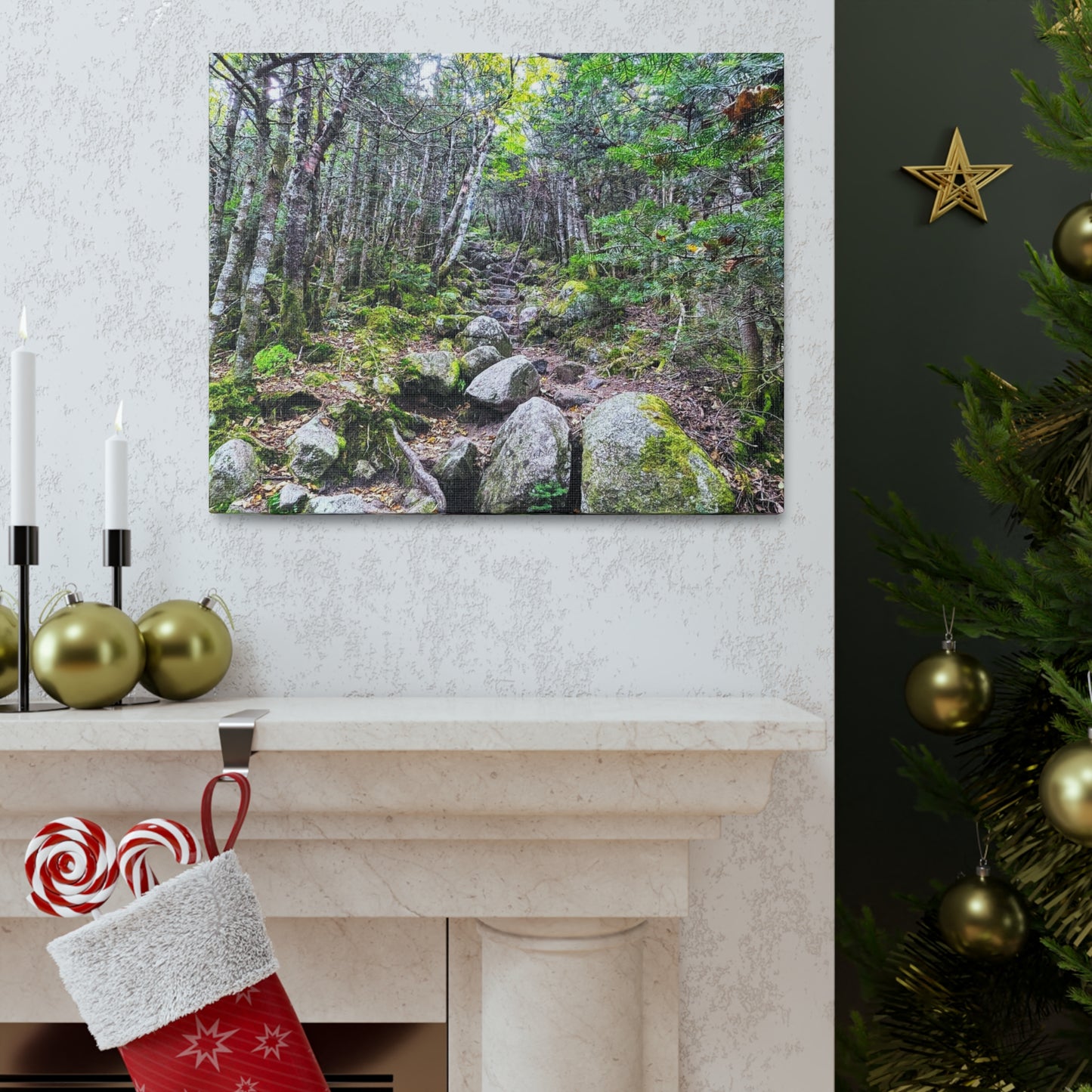 Kinsman Ridge Trail Canvas Art Print