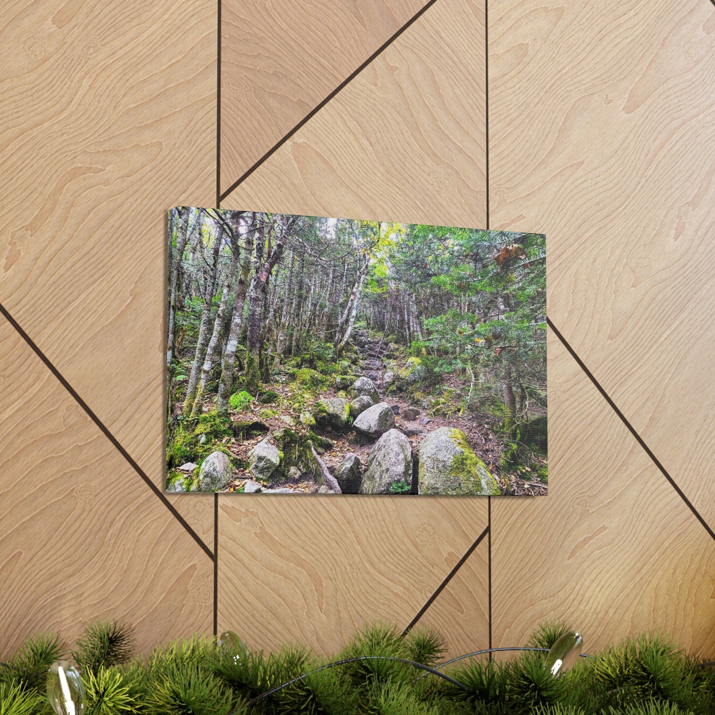 Kinsman Ridge Trail Canvas Art Print