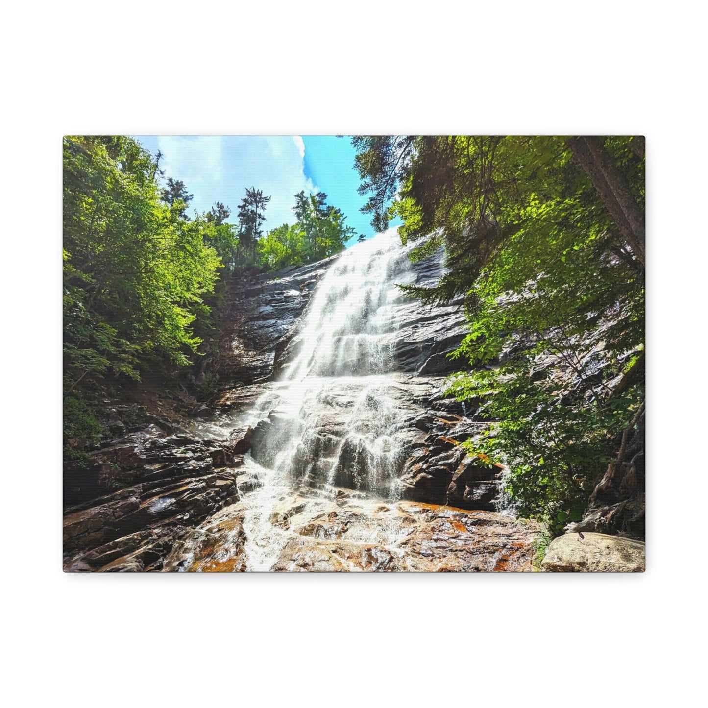 Arethusa Falls Canvas Art Print