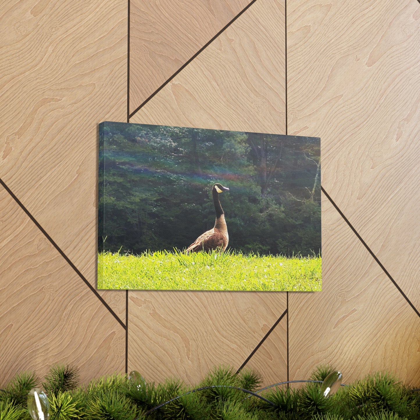 Canadian Goose Canvas Art Print