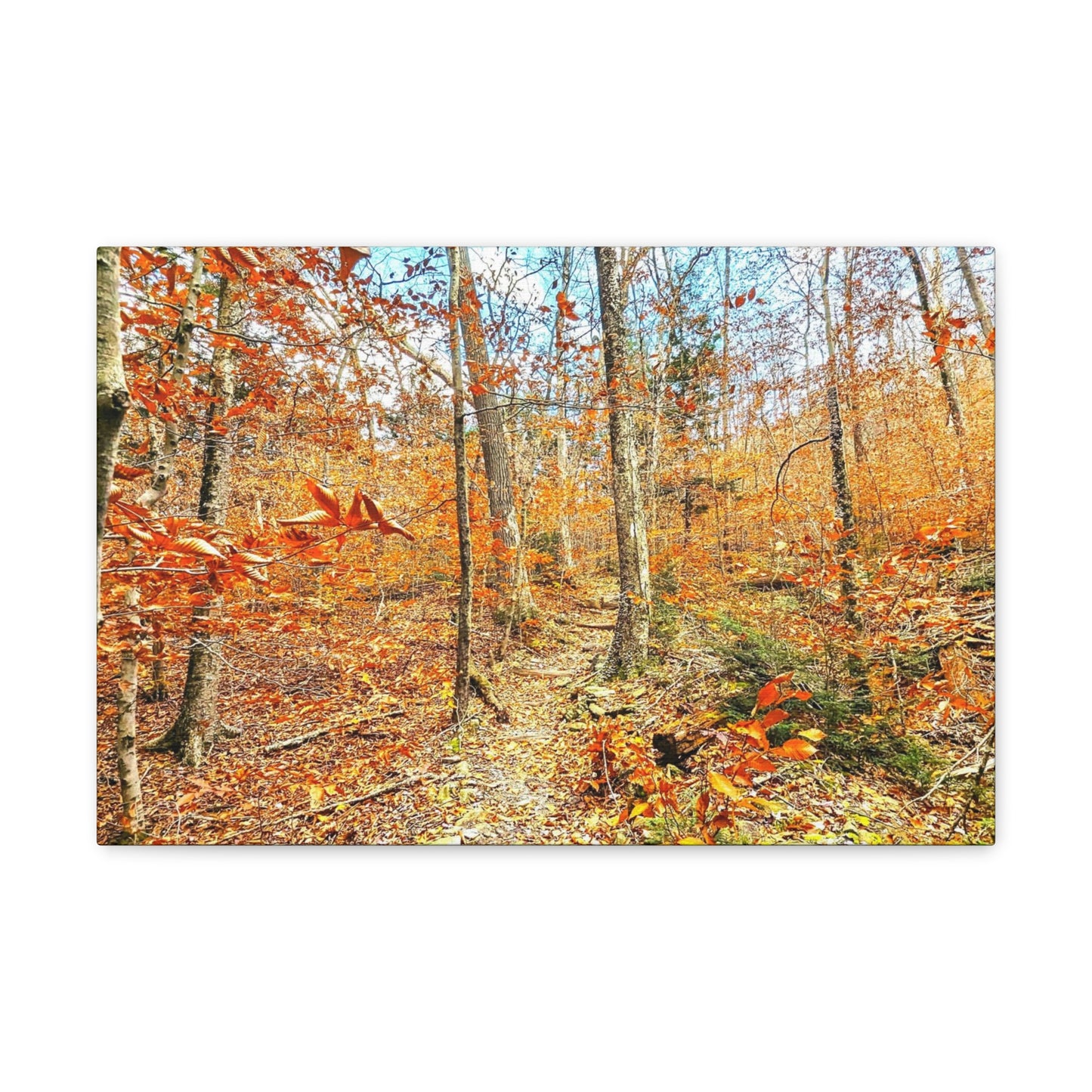 Appalachian Trail Fall Canvas Art Print