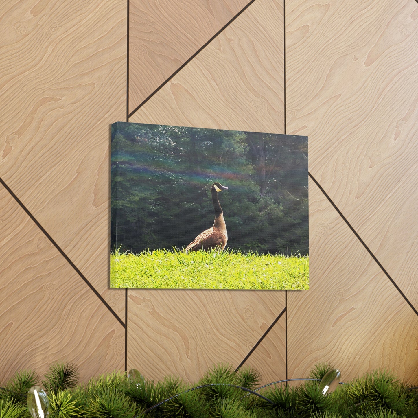 Canadian Goose Canvas Art Print