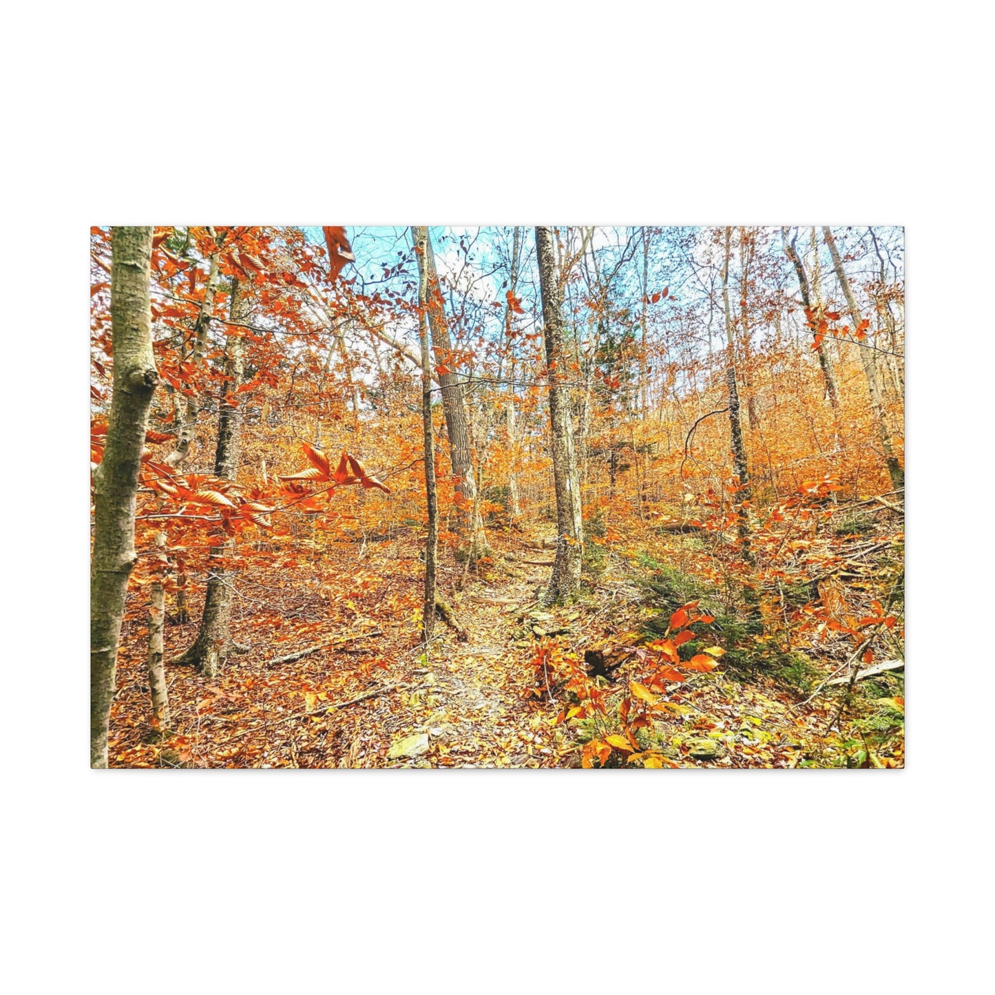 Appalachian Trail Fall Canvas Art Print