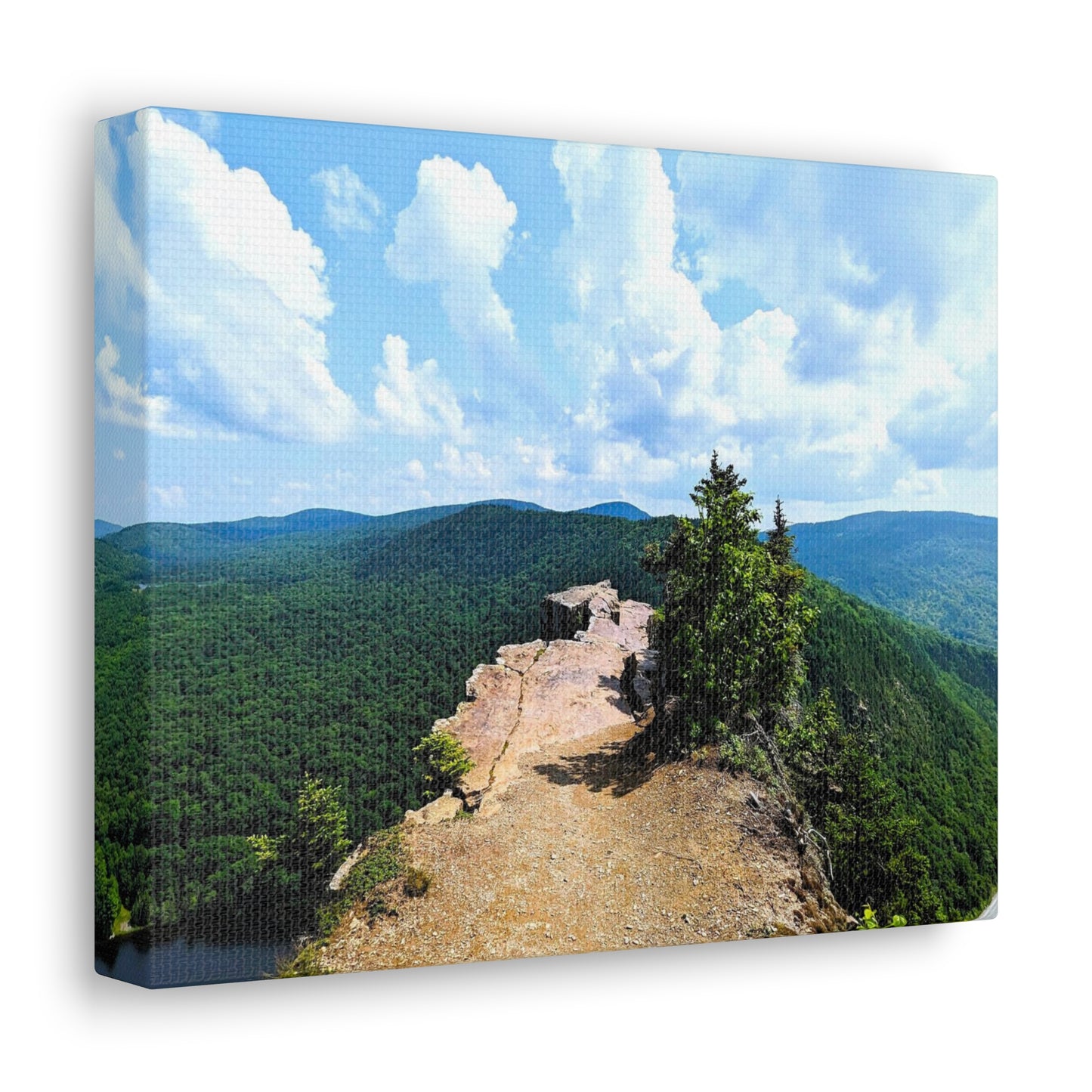 Table Rock Canvas Art Print