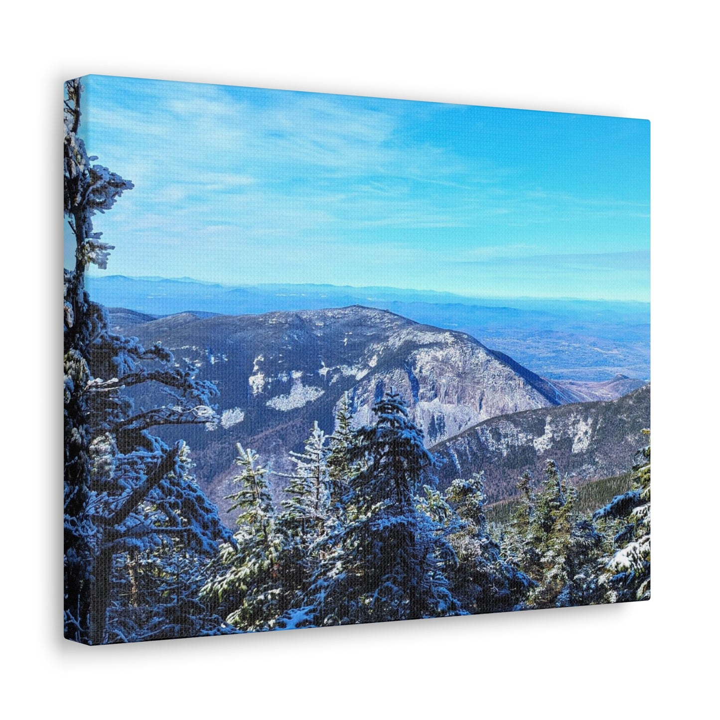 Alpine Zone- Canvas Art Print